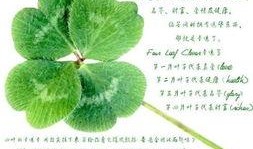 吃瓜四叶草娱乐