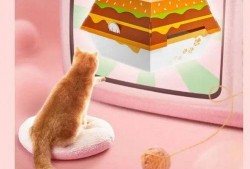 娱乐吃瓜酱棉袄猫窝,揭秘明星温馨家居生活